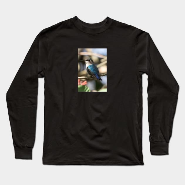 Bee Hummingbird Long Sleeve T-Shirt by opticpixil